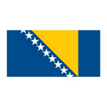 Flag of Bosnia & Herzegovina Temporary Tattoo (1.5"x2")